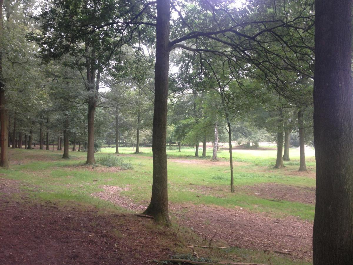 Bed and breakfast Landgoed Bergerven *